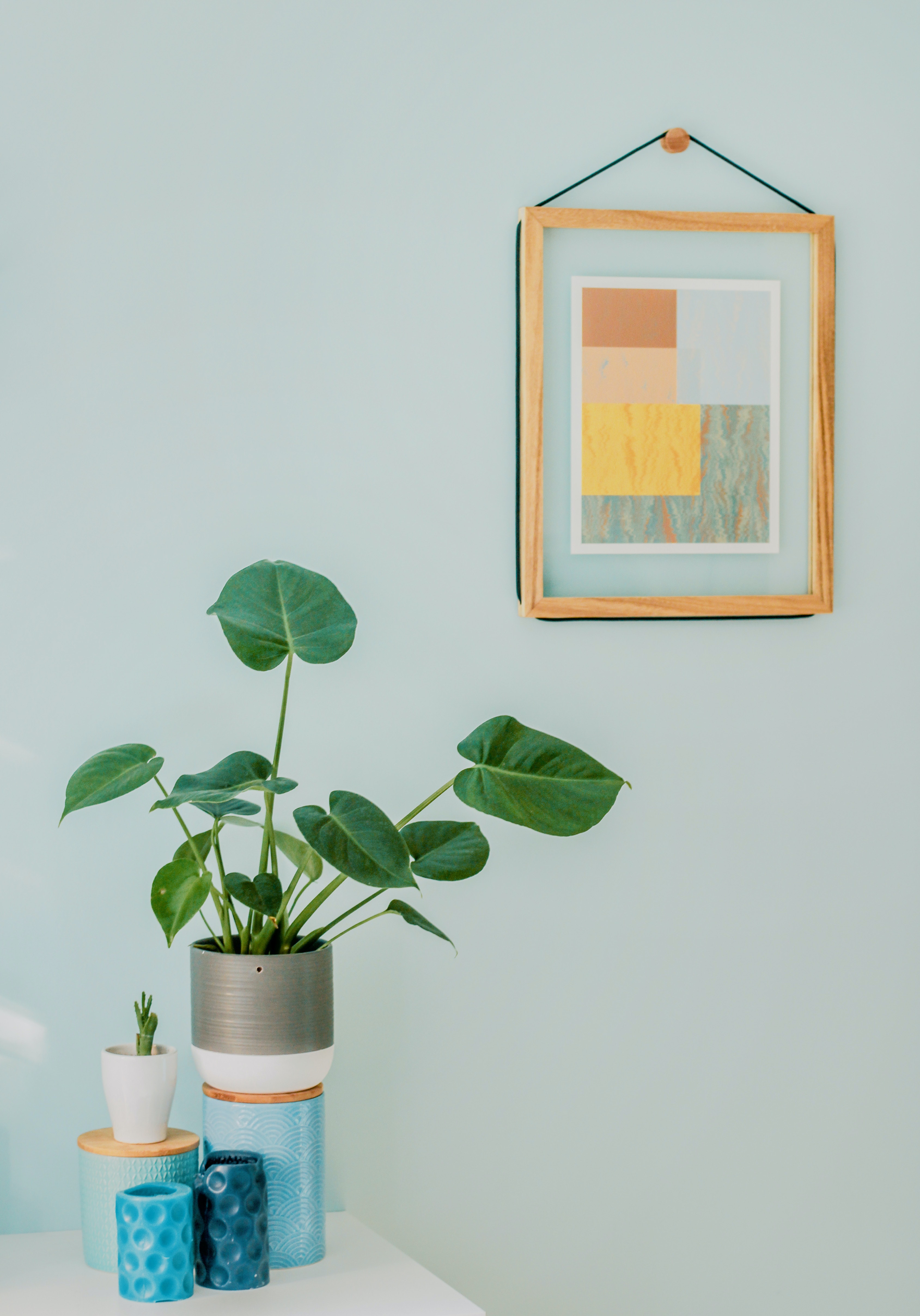 Plants on a table with a green wall